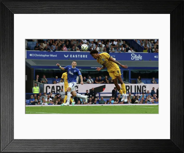 Framed Print : Everton v Brighton and Hove Albion Premier League 17AUG24 Framed Print : Everton v Brighton and Hove Albion Premier League 17AUG24