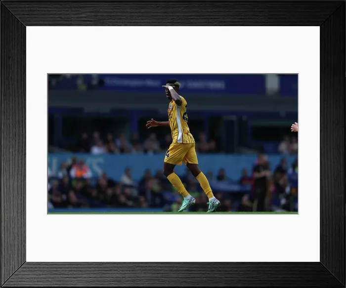 Framed Print : Everton v Brighton and Hove Albion Premier League 17AUG24 Framed Print : Everton v Brighton and Hove Albion Premier League 17AUG24