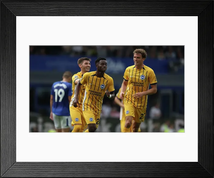 Framed Print : Everton v Brighton and Hove Albion Premier League 17AUG24 Framed Print : Everton v Brighton and Hove Albion Premier League 17AUG24