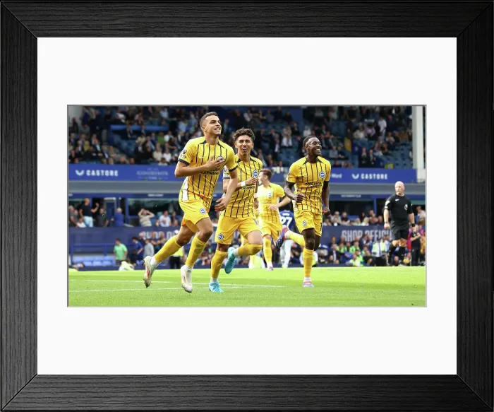 Framed Print : Everton v Brighton and Hove Albion Premier League 17AUG24 Framed Print : Everton v Brighton and Hove Albion Premier League 17AUG24