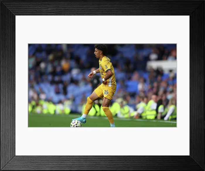 Framed Print : Everton v Brighton and Hove Albion Premier League 17AUG24 Framed Print : Everton v Brighton and Hove Albion Premier League 17AUG24