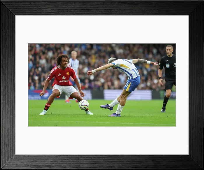 Framed Print : Brighton and Hove Albion v Manchester United Premier League 24AUG24 Framed Print : Brighton and Hove Albion v Manchester United Premier League 24AUG24