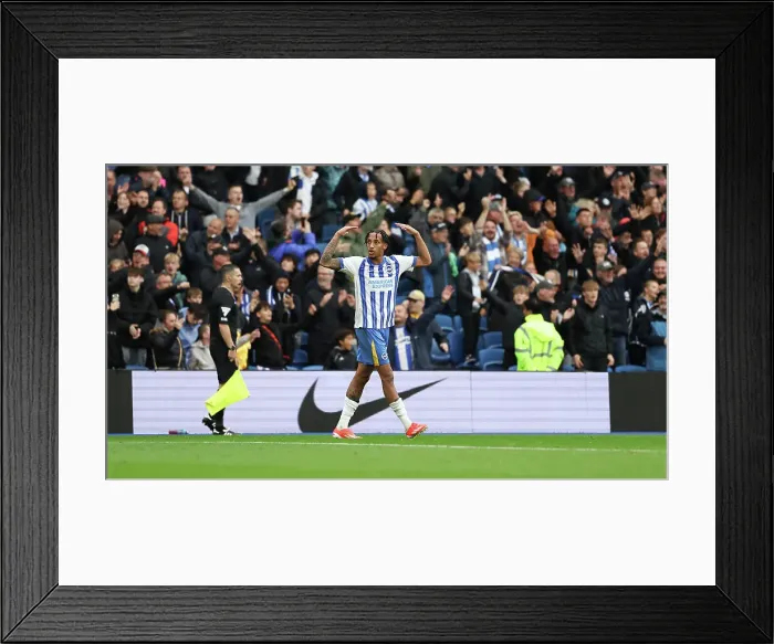 Framed Print : Brighton and Hove Albion v Manchester United Premier League 24AUG24 Framed Print : Brighton and Hove Albion v Manchester United Premier League 24AUG24