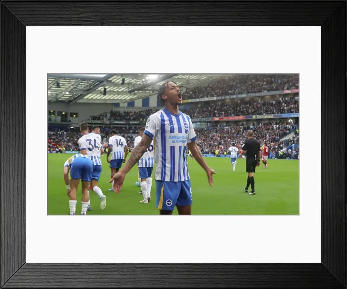 Framed Print : Brighton and Hove Albion v Manchester United Premier League 24AUG24