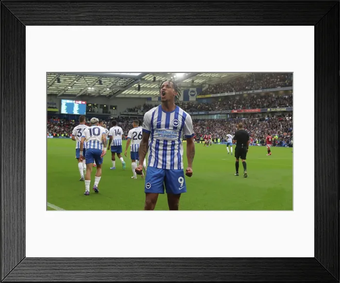Framed Print : Brighton and Hove Albion v Manchester United Premier League 24AUG24