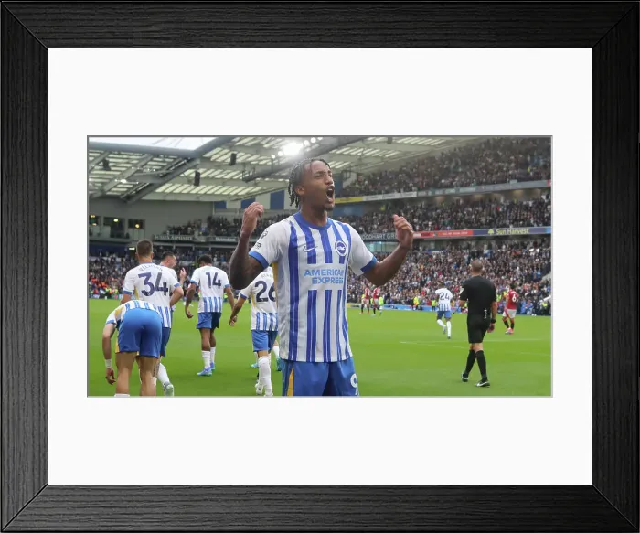 Framed Print : Brighton and Hove Albion v Manchester United Premier League 24AUG24 Framed Print : Brighton and Hove Albion v Manchester United Premier League 24AUG24