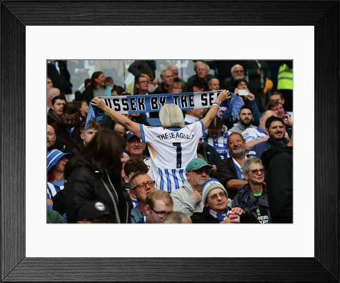 Framed Print : Brighton and Hove Albion v Manchester United Premier League 24AUG24 Framed Print : Brighton and Hove Albion v Manchester United Premier League 24AUG24