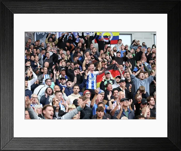 Framed Print : Brighton and Hove Albion v Manchester United Premier League 24AUG24 Framed Print : Brighton and Hove Albion v Manchester United Premier League 24AUG24
