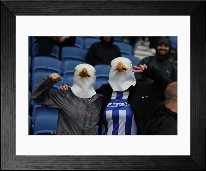 Framed Print : Brighton and Hove Albion v Manchester United Premier League 24AUG24 Framed Print : Brighton and Hove Albion v Manchester United Premier League 24AUG24