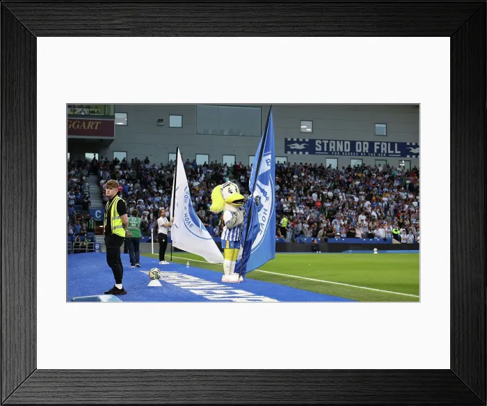 Framed Print : Brighton and Hove Albion v Crawley Town Carabao Cup 27AUG24 Framed Print : Brighton and Hove Albion v Crawley Town Carabao Cup 27AUG24