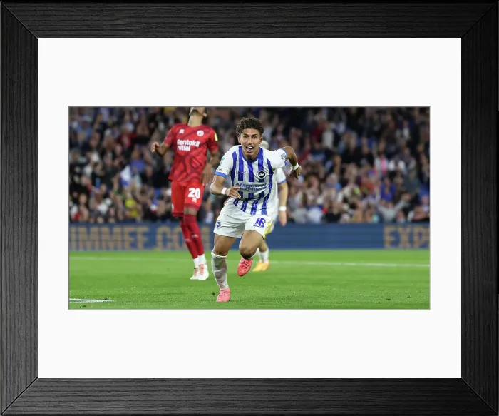 Framed Print : Brighton and Hove Albion v Crawley Town Carabao Cup 27AUG24