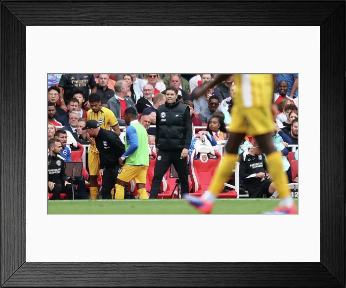 Framed Print : Arsenal v Brighton and Hove Albion Premier League 31AUG24 Framed Print : Arsenal v Brighton and Hove Albion Premier League 31AUG24