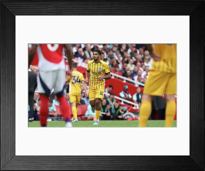 Framed Print : Arsenal v Brighton and Hove Albion Premier League 31AUG24 Framed Print : Arsenal v Brighton and Hove Albion Premier League 31AUG24