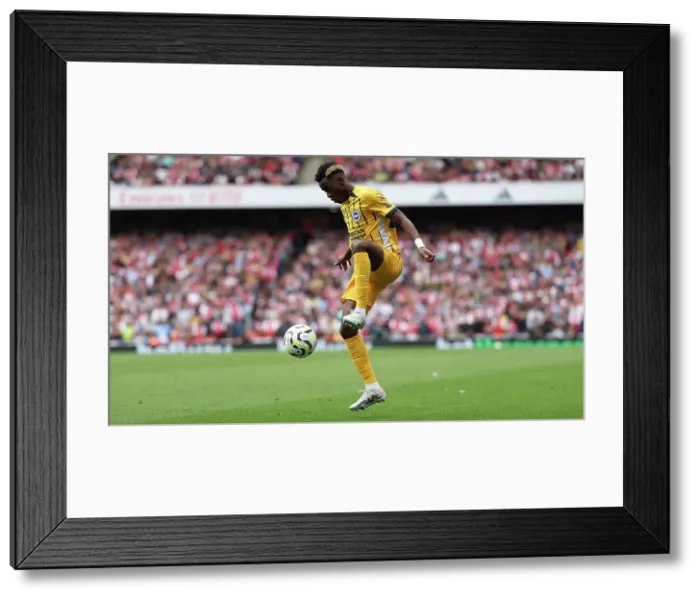Framed Print : Arsenal v Brighton and Hove Albion Premier League 31AUG24 Framed Print : Arsenal v Brighton and Hove Albion Premier League 31AUG24