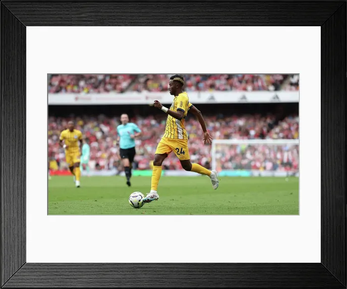 Framed Print : Arsenal v Brighton and Hove Albion Premier League 31AUG24 Framed Print : Arsenal v Brighton and Hove Albion Premier League 31AUG24