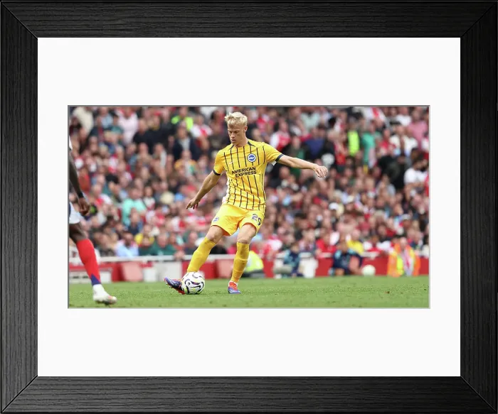 Framed Print : Arsenal v Brighton and Hove Albion Premier League 31AUG24 Framed Print : Arsenal v Brighton and Hove Albion Premier League 31AUG24