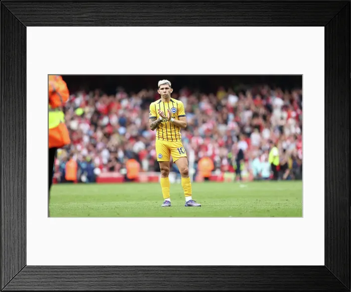 Framed Print : Arsenal v Brighton and Hove Albion Premier League 31AUG24 Framed Print : Arsenal v Brighton and Hove Albion Premier League 31AUG24
