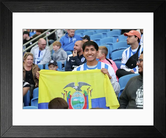 Framed Print : Brighton and Hove Albion v Ipswich Town Premier League 14SEP24 Framed Print : Brighton and Hove Albion v Ipswich Town Premier League 14SEP24