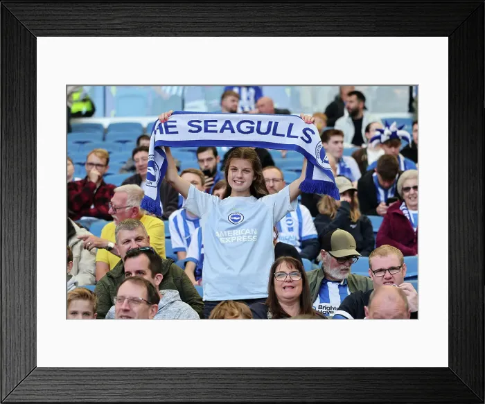 Framed Print : Brighton and Hove Albion v Ipswich Town Premier League 14SEP24 Framed Print : Brighton and Hove Albion v Ipswich Town Premier League 14SEP24