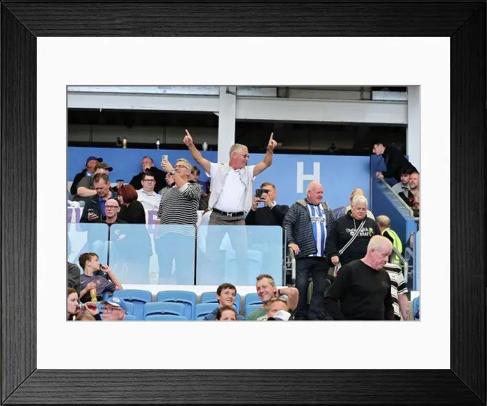 Framed Print : Brighton and Hove Albion v Ipswich Town Premier League 14SEP24 Framed Print : Brighton and Hove Albion v Ipswich Town Premier League 14SEP24
