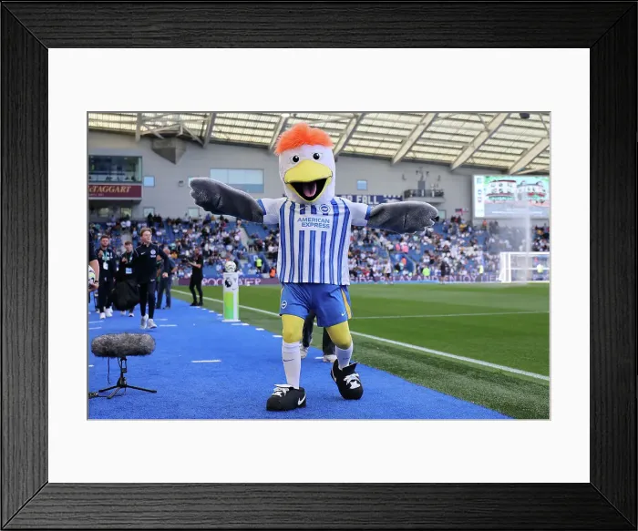 Framed Print : Brighton and Hove Albion v Ipswich Town Premier League 14SEP24 Framed Print : Brighton and Hove Albion v Ipswich Town Premier League 14SEP24