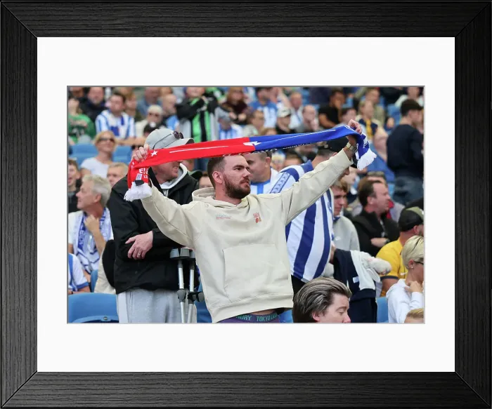 Framed Print : Brighton and Hove Albion v Ipswich Town Premier League 14SEP24 Framed Print : Brighton and Hove Albion v Ipswich Town Premier League 14SEP24