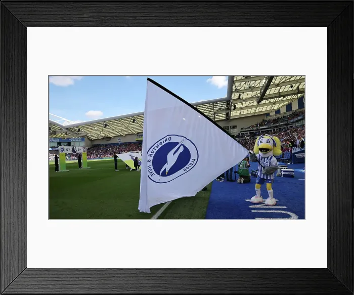 Framed Print : Brighton and Hove Albion v Ipswich Town Premier League 14SEP24 Framed Print : Brighton and Hove Albion v Ipswich Town Premier League 14SEP24
