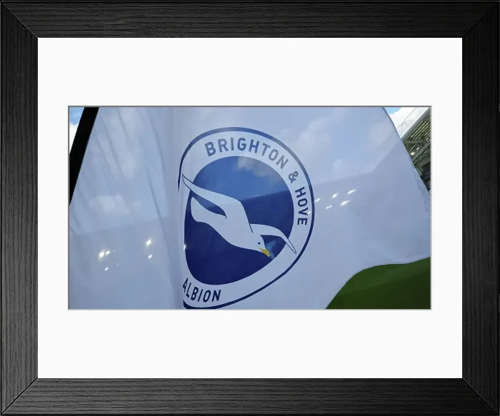 Framed Print : Brighton and Hove Albion v Ipswich Town Premier League 14SEP24 Framed Print : Brighton and Hove Albion v Ipswich Town Premier League 14SEP24