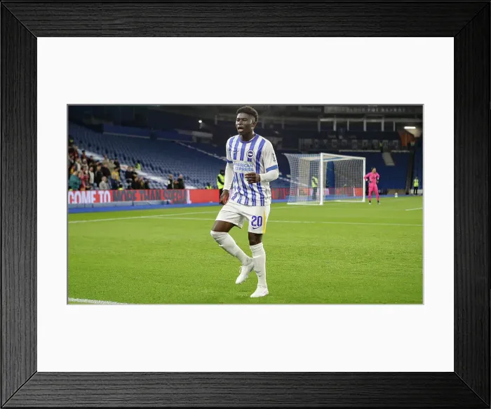 Framed Print : Brighton and Hove Albion v Wolverhampton Wanderers Carabao Cup 18SEP24