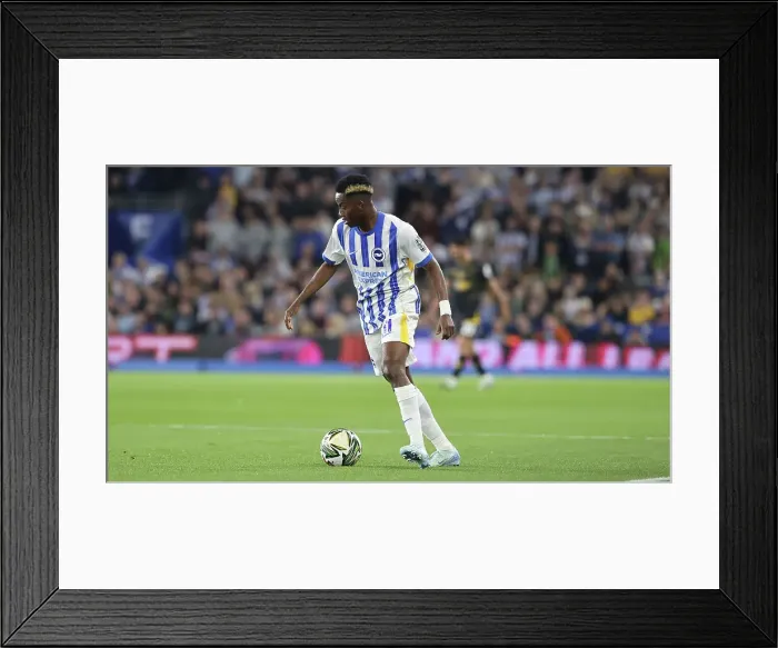 Framed Print : Brighton and Hove Albion v Wolverhampton Wanderers Carabao Cup 18SEP24
