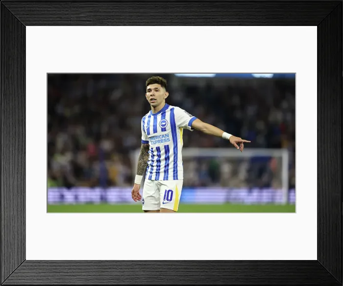 Framed Print : Brighton and Hove Albion v Wolverhampton Wanderers Carabao Cup 18SEP24 Framed Print : Brighton and Hove Albion v Wolverhampton Wanderers Carabao Cup 18SEP24