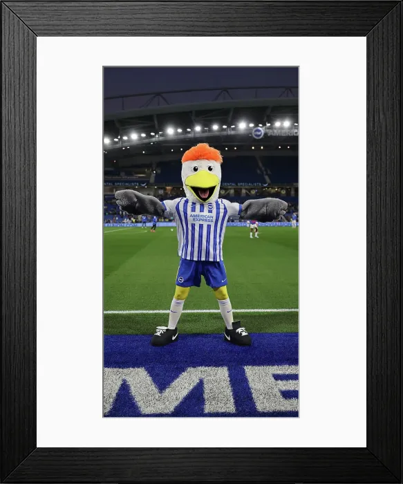 Framed Print : Brighton and Hove Albion v Wolverhampton Wanderers Carabao Cup 18SEP24 Framed Print : Brighton and Hove Albion v Wolverhampton Wanderers Carabao Cup 18SEP24
