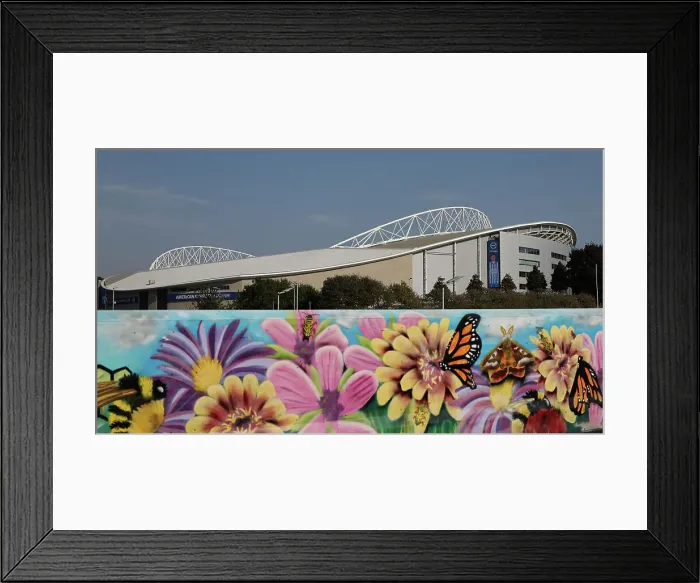 Framed Print : Brighton and Hove Albion v Wolverhampton Wanderers Carabao Cup 18SEP24