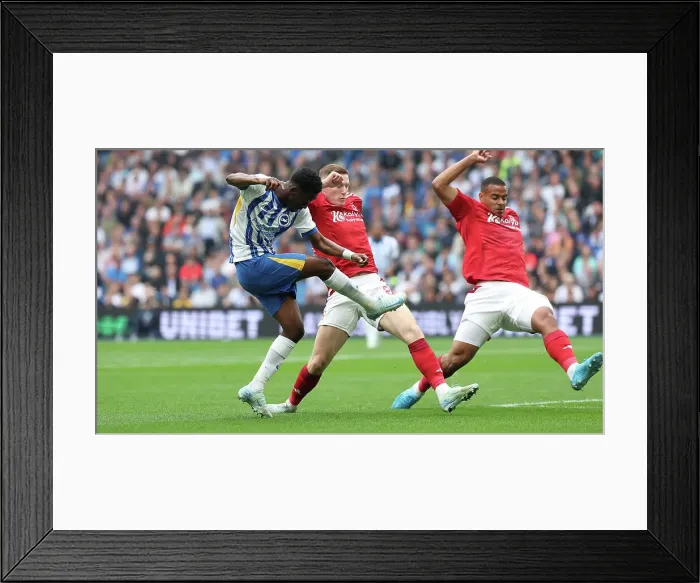 Framed Print : Brighton and Hove Albion v Nottingham Forest Premier League 22SEP24 Framed Print : Brighton and Hove Albion v Nottingham Forest Premier League 22SEP24