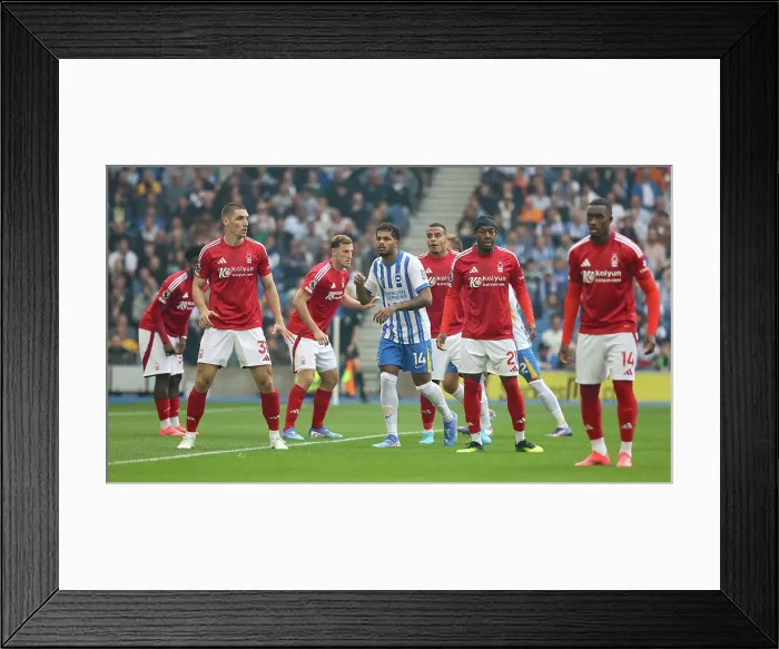 Framed Print : Brighton and Hove Albion v Nottingham Forest Premier League 22SEP24 Framed Print : Brighton and Hove Albion v Nottingham Forest Premier League 22SEP24