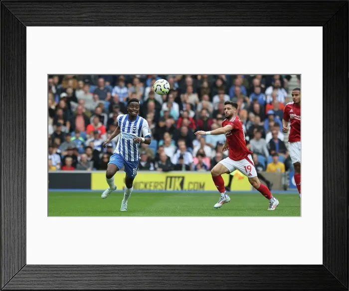 Framed Print : Brighton and Hove Albion v Nottingham Forest Premier League 22SEP24 Framed Print : Brighton and Hove Albion v Nottingham Forest Premier League 22SEP24