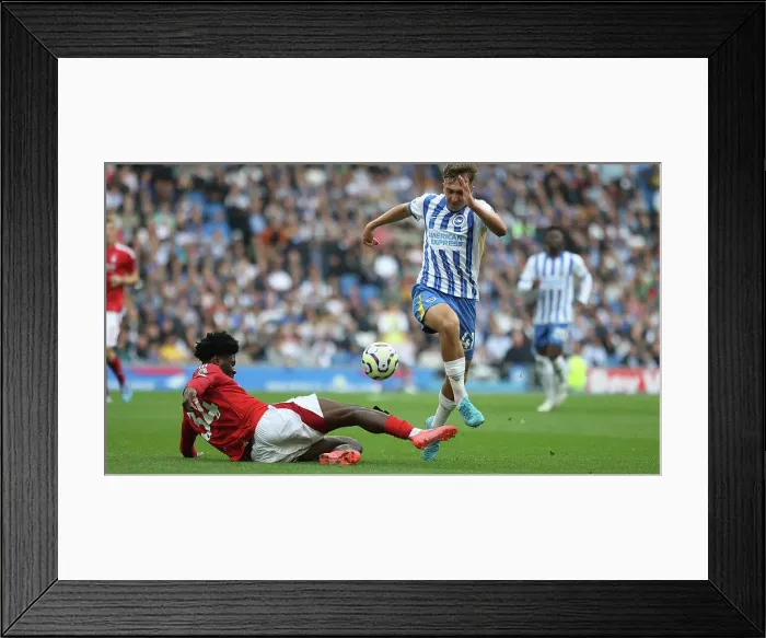 Framed Print : Brighton and Hove Albion v Nottingham Forest Premier League 22SEP24 Framed Print : Brighton and Hove Albion v Nottingham Forest Premier League 22SEP24