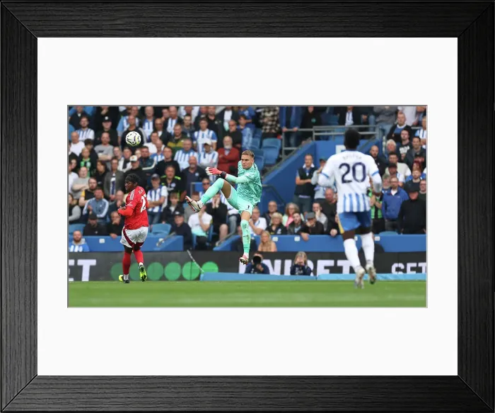 Framed Print : Brighton and Hove Albion v Nottingham Forest Premier League 22SEP24 Framed Print : Brighton and Hove Albion v Nottingham Forest Premier League 22SEP24