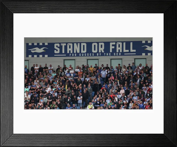 Framed Print : Brighton and Hove Albion v Nottingham Forest Premier League 22SEP24 Framed Print : Brighton and Hove Albion v Nottingham Forest Premier League 22SEP24