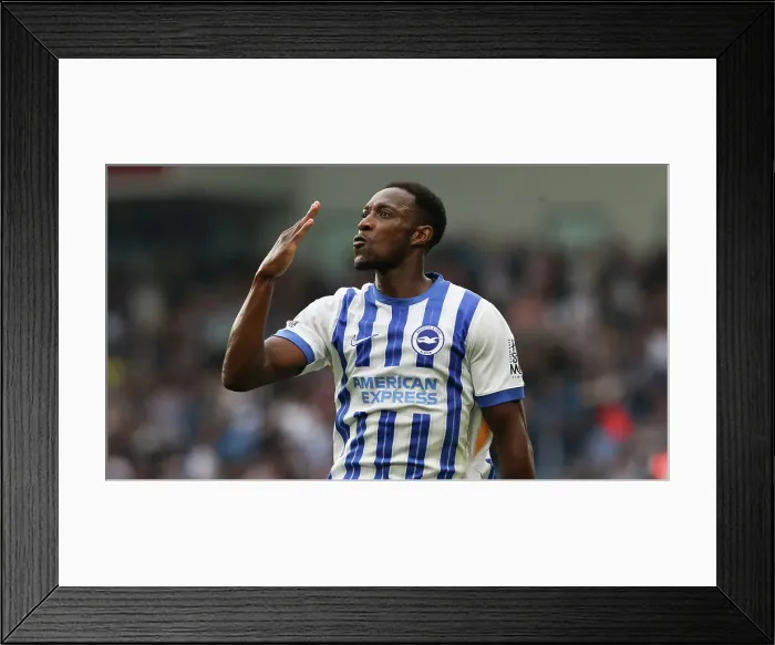 Framed Print : Brighton and Hove Albion v Nottingham Forest Premier League 22SEP24 Framed Print : Brighton and Hove Albion v Nottingham Forest Premier League 22SEP24