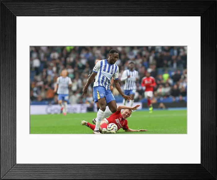Framed Print : Brighton and Hove Albion v Nottingham Forest Premier League 22SEP24 Framed Print : Brighton and Hove Albion v Nottingham Forest Premier League 22SEP24