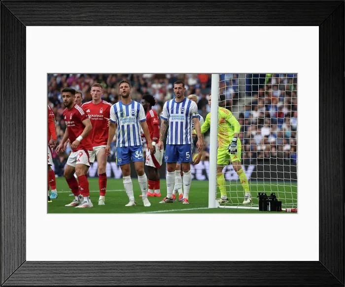 Framed Print : Brighton and Hove Albion v Nottingham Forest Premier League 22SEP24