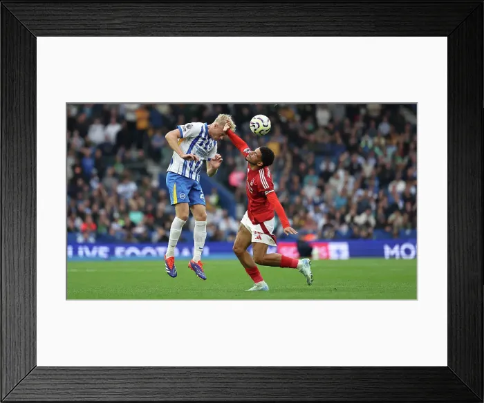 Framed Print : Brighton and Hove Albion v Nottingham Forest Premier League 22SEP24 Framed Print : Brighton and Hove Albion v Nottingham Forest Premier League 22SEP24