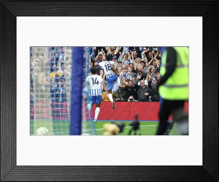 Framed Print : Brighton and Hove Albion v Nottingham Forest Premier League 22SEP24 Framed Print : Brighton and Hove Albion v Nottingham Forest Premier League 22SEP24