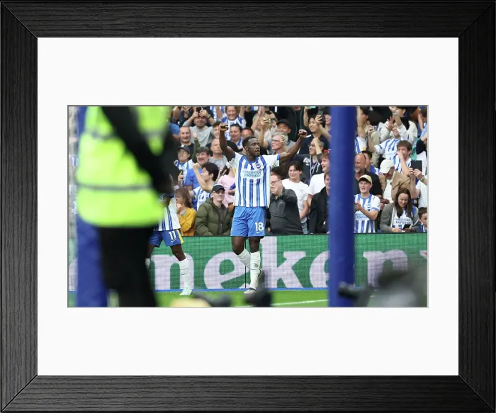 Framed Print : Brighton and Hove Albion v Nottingham Forest Premier League 22SEP24