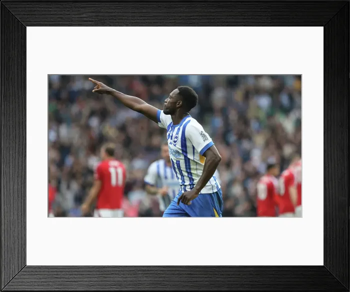 Framed Print : Brighton and Hove Albion v Nottingham Forest Premier League 22SEP24 Framed Print : Brighton and Hove Albion v Nottingham Forest Premier League 22SEP24