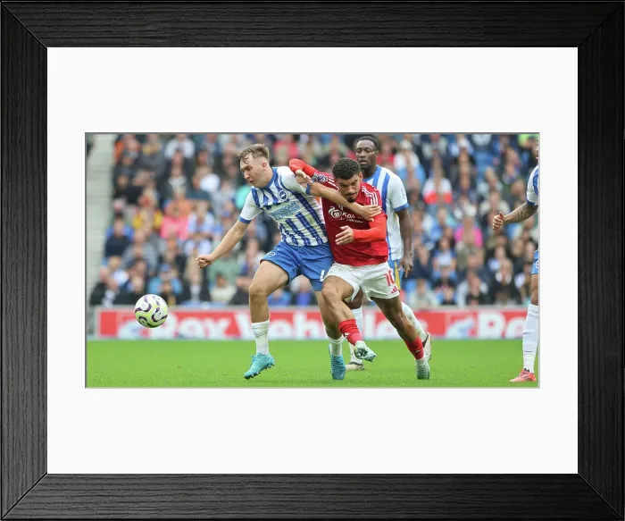 Framed Print : Brighton and Hove Albion v Nottingham Forest Premier League 22SEP24 Framed Print : Brighton and Hove Albion v Nottingham Forest Premier League 22SEP24