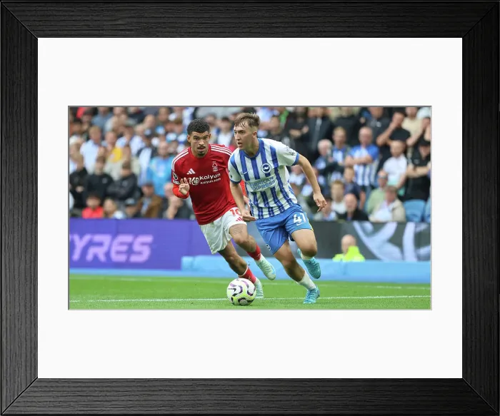 Framed Print : Brighton and Hove Albion v Nottingham Forest Premier League 22SEP24