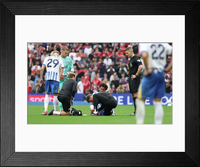 Framed Print : Brighton and Hove Albion v Nottingham Forest Premier League 22SEP24