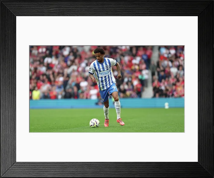 Framed Print : Brighton and Hove Albion v Nottingham Forest Premier League 22SEP24 Framed Print : Brighton and Hove Albion v Nottingham Forest Premier League 22SEP24